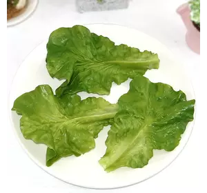 Штучні листя салату RESTEQ 10шт бутафорія муляж овочі імітація зелень