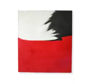 Картина на полотні Білий, чорний, червоний 50x60 см. Картина абстрактний експресіонізм